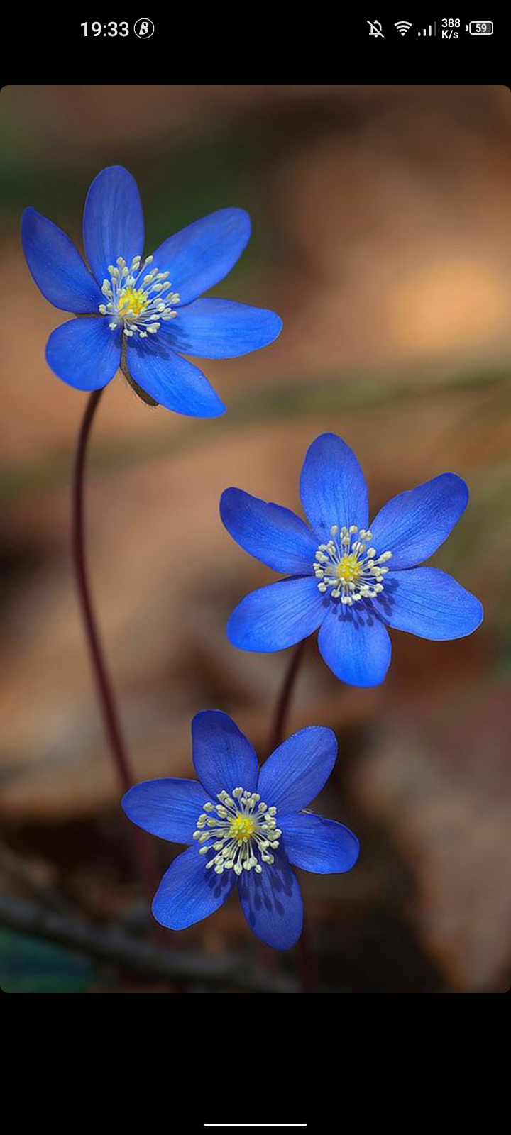 Photo de profil de l’utilisateur